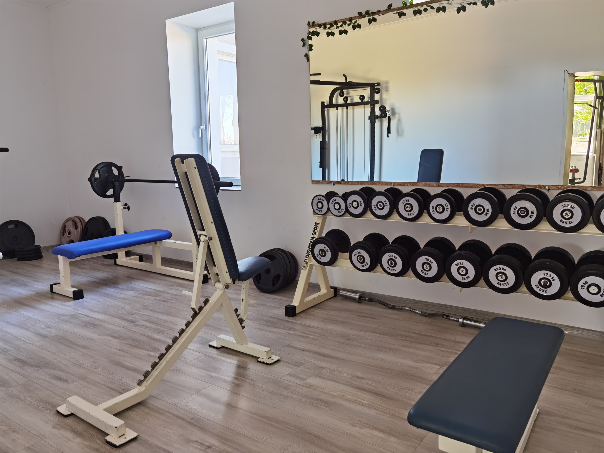 Aparate fitness